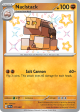 paldean-fates-177091-naclstack.png
